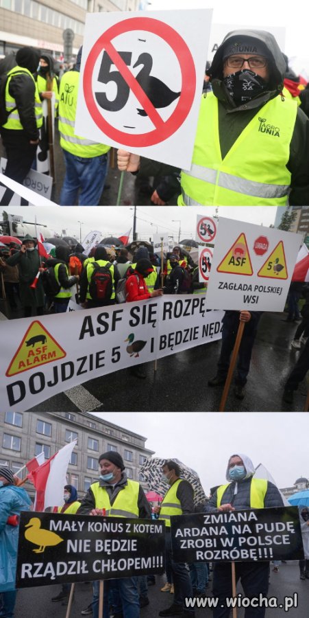 A jednak konus z kotem 
