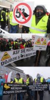 A jednak konus z kotem 