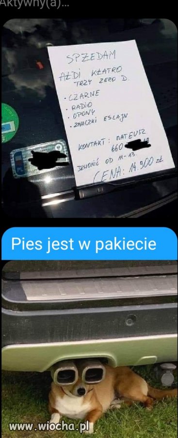 SpŻedam