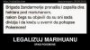 Brygada żandarmów znalazła i spaliła 2 hektary marihuany,