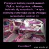 Biorę nogi za pas 