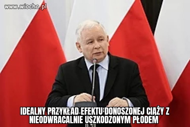 Tyle w temacie