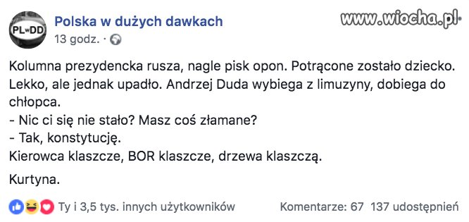 Coś w tym jest