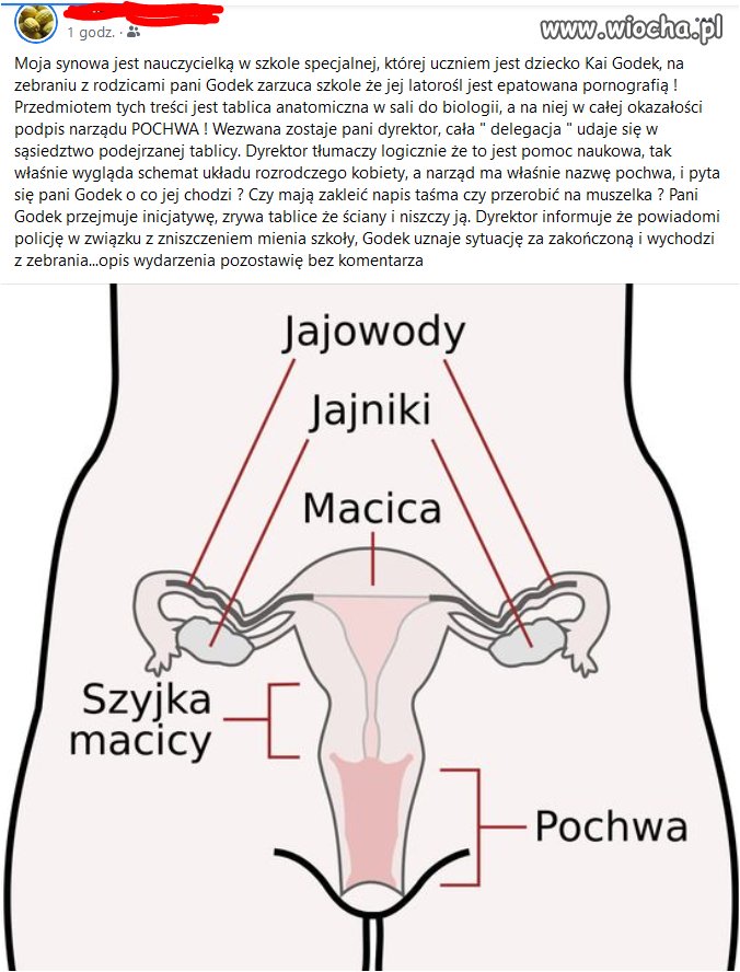 Występy Kai...