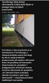 Korona świrus