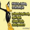 Kłótnia z kobietą 