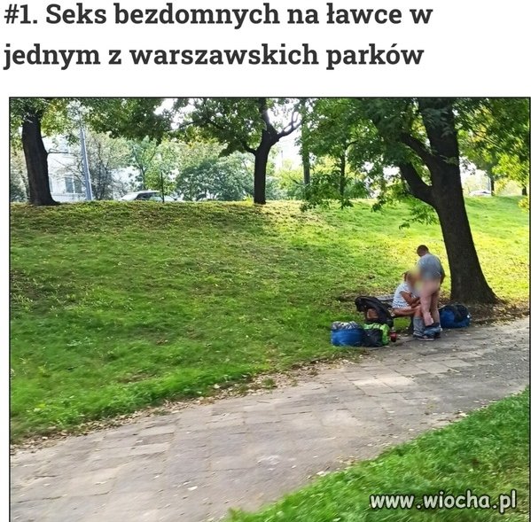 No logiczne przecież