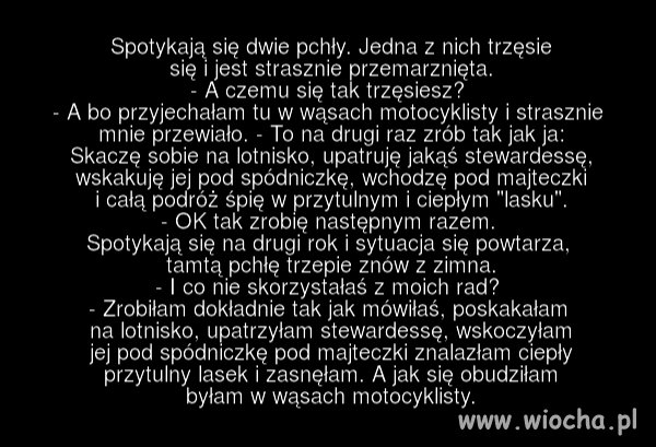 Wąsy 
