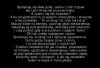 Wąsy 