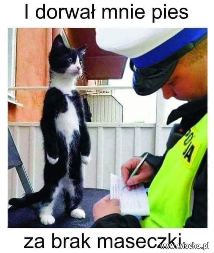 Tak bywa