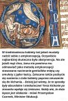Antykoncepcja, średniowiecze...   