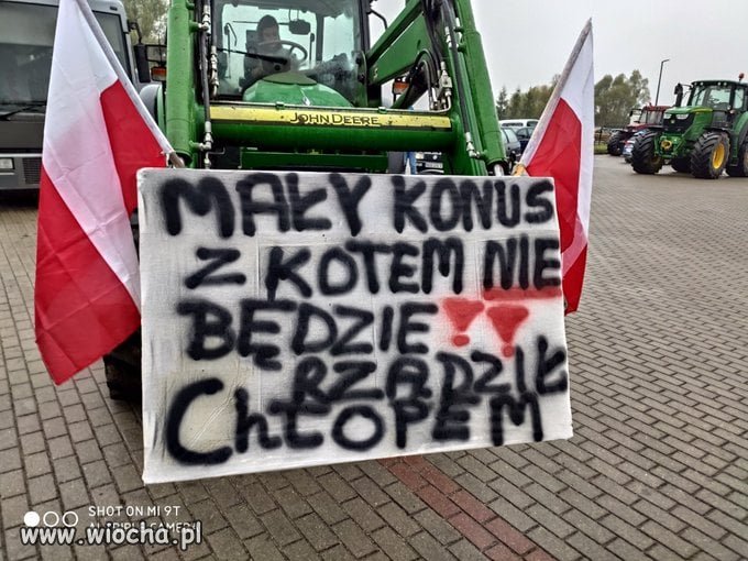 Trzeba było nie głosować