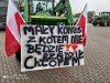 Trzeba było nie głosować