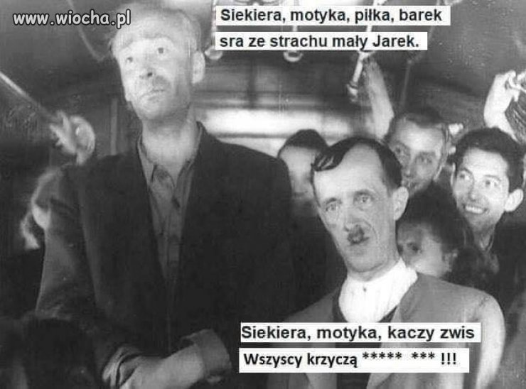 Pis kultura nie zabrania 