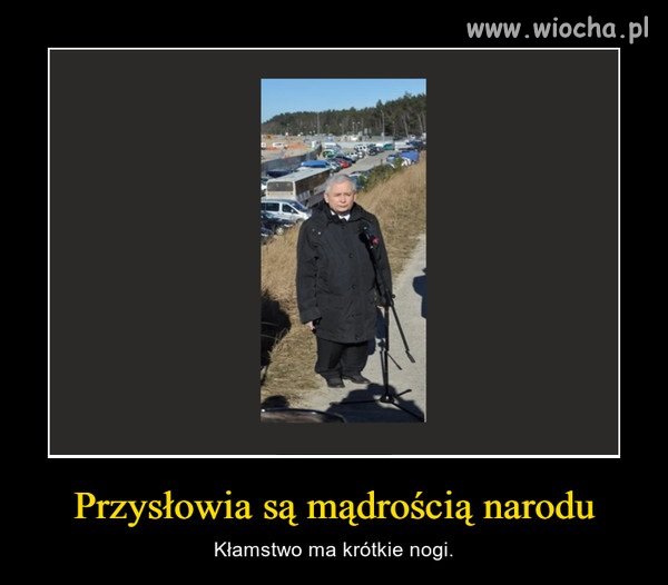 Tu to nie tylko nóżki są krótkie,tu mózgu zabrakło