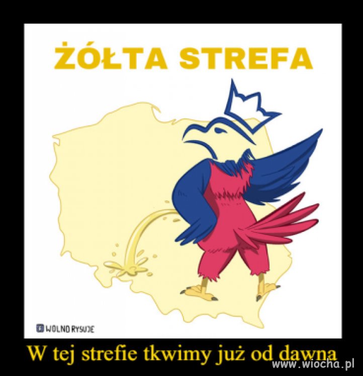 Złota strefa 