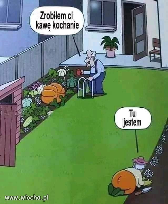 Pomyłka 