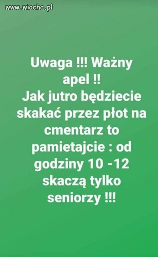 Taki tam suchar