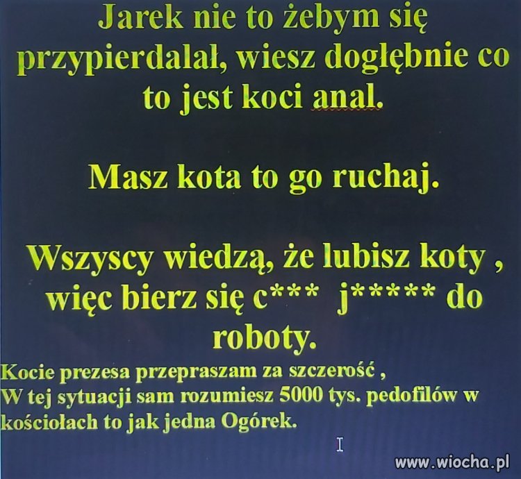 Zabawa z kotem Prezesa
