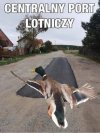 Tymczasem 