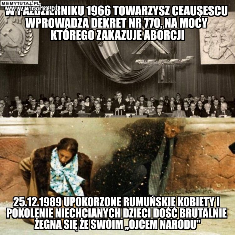 Głupie pisy nie wyciągają nauk z historii