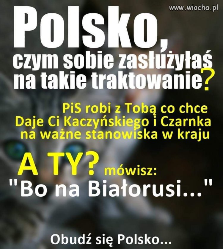 Obudź się Polsko