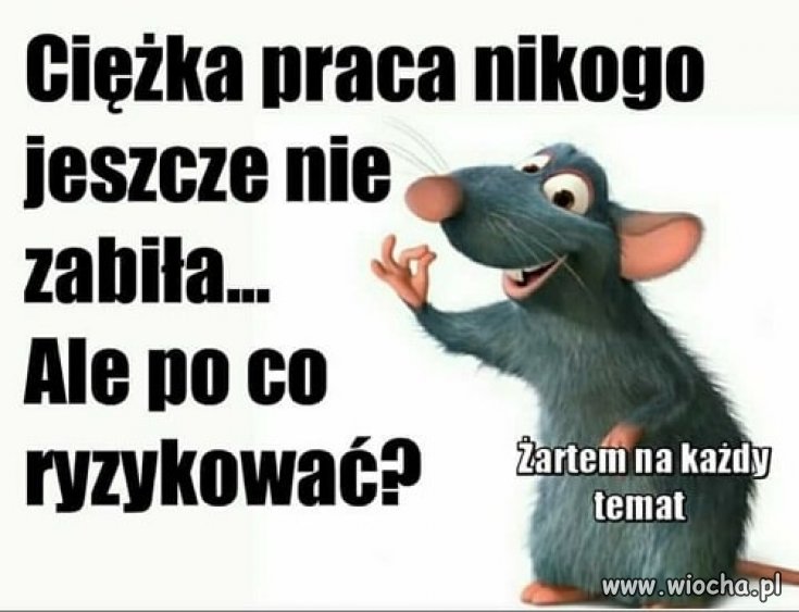 Szlachta ponoć też nie pracuje 