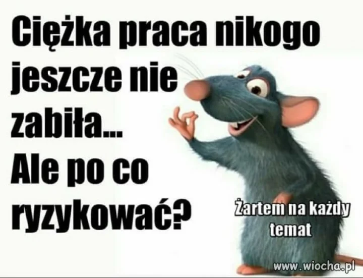 Szlachta ponoć też nie pracuje 