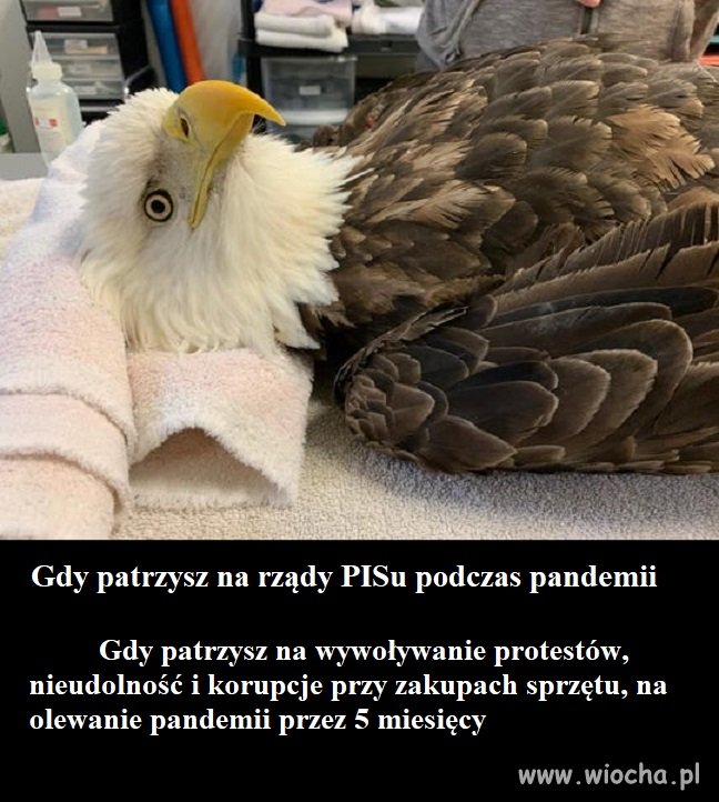 Rozchorowałem się już