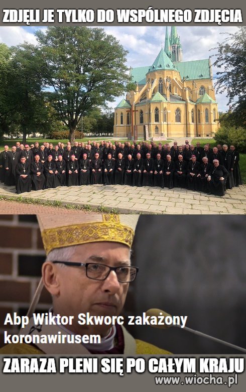Czarna zaraza 