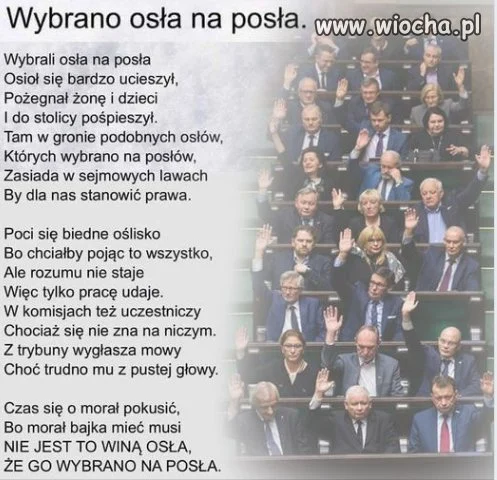 Poezja  najnowsza