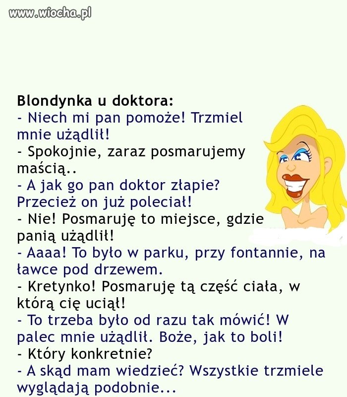 Jak to blondynka 