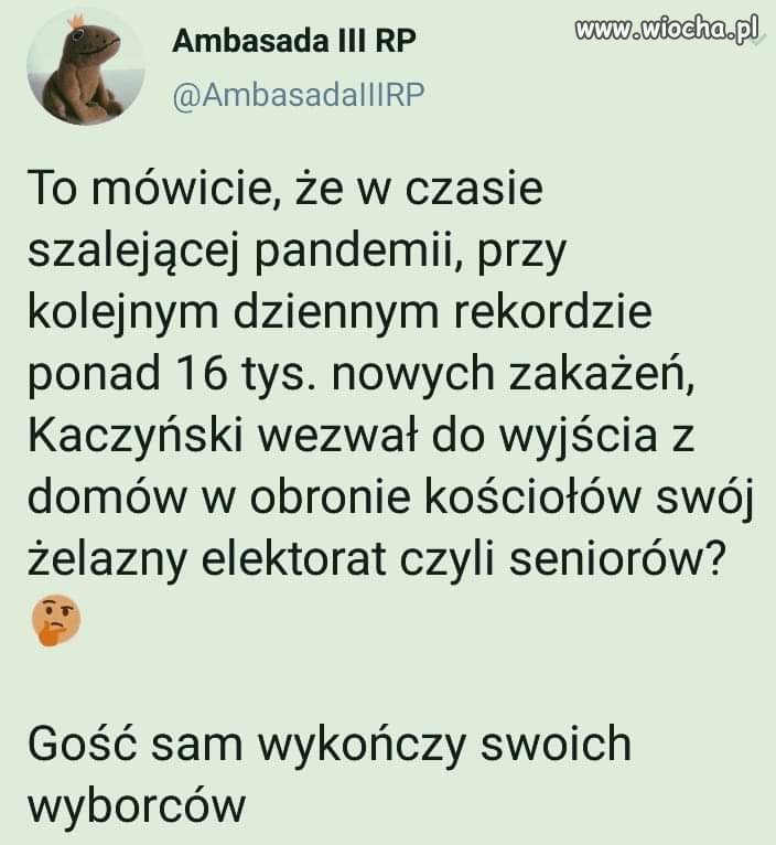 Da radę przekroczyć granicę głupoty. Sukces pis.
