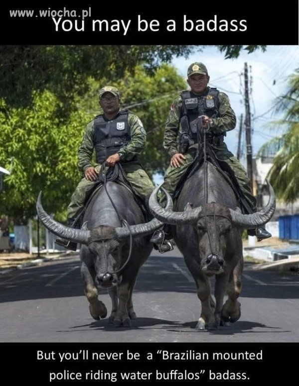 Policja w Brazylii