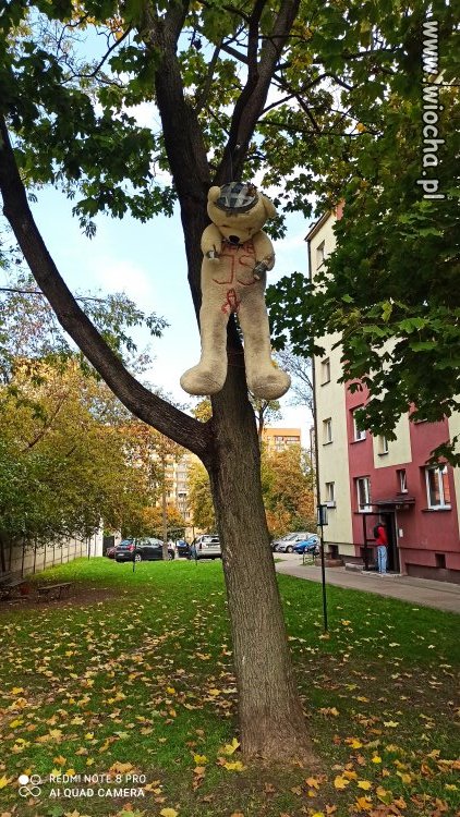 Radom Żeromskiego 107