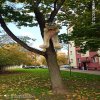 Radom Żeromskiego 107