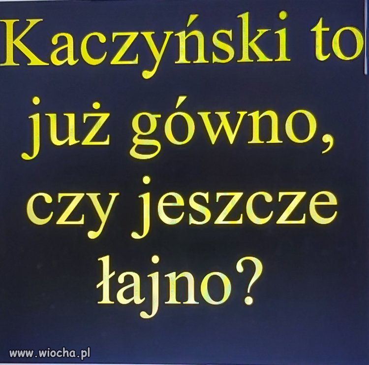 Proszę o odpowiedź