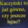 Proszę o odpowiedź