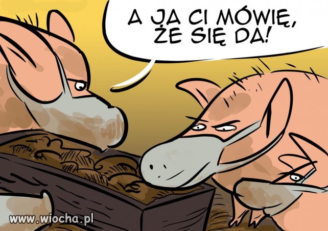 Brak tematu