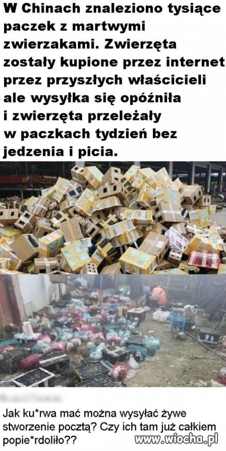 Chiny i tyle w temacie