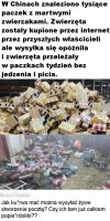 Chiny i tyle w temacie