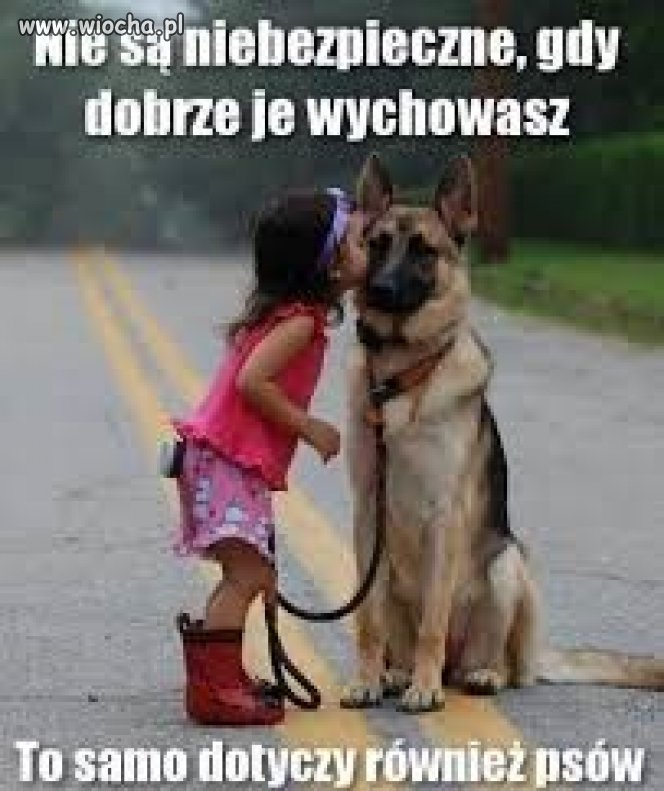 Jak dobrze wychowywać 