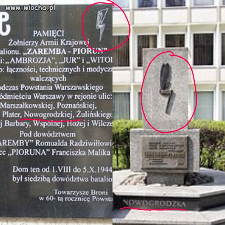 Faszystowski symbol według propagandy tvpis