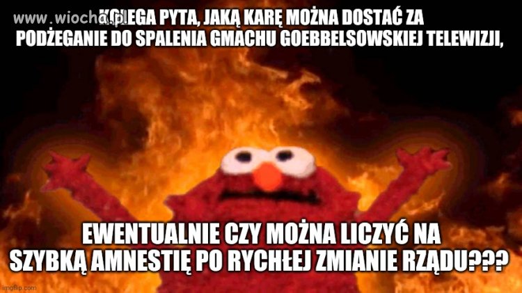 Kolega pyta