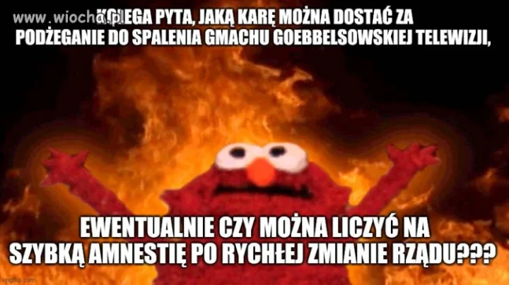 Kolega pyta