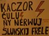 Pozdrowienia ze Śląska