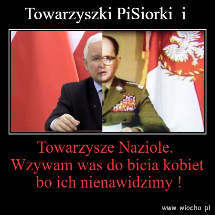  Towarzyszki naziole 