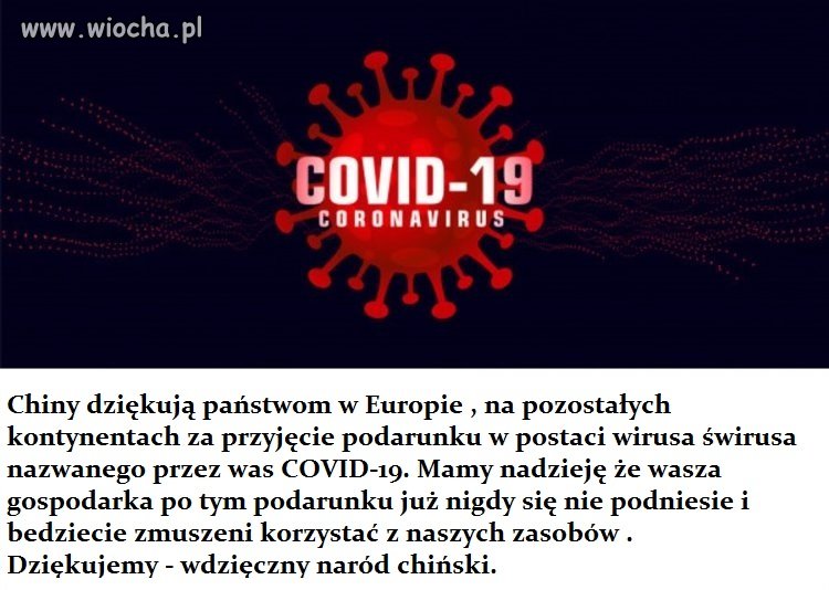 Wirus świrus