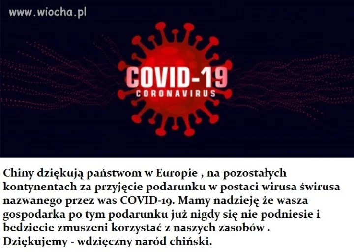 Wirus świrus