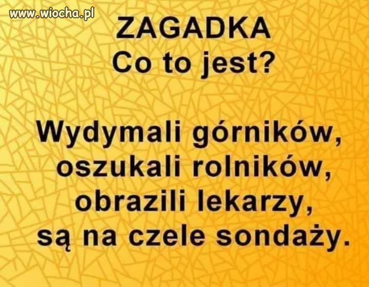 Zagadka 